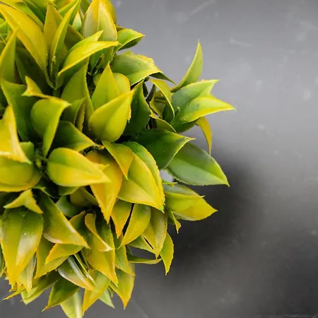 Arc 33 Apartamento *